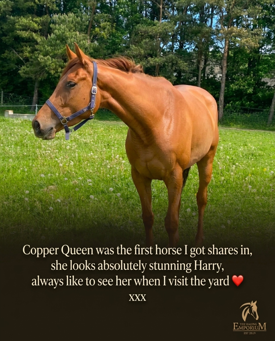 “Copper Queen was the first horse I got shares in.” — an owner